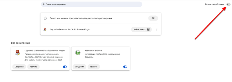 Режим разработчика