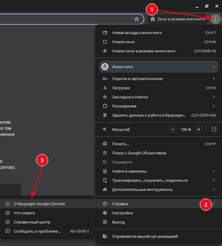 Как узнать версию хром